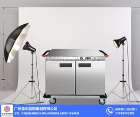 新造鎮(zhèn)畫冊(cè)設(shè)計(jì)服務(wù)——凌志營(yíng)銷策劃的優(yōu)質(zhì)企業(yè)解決方案