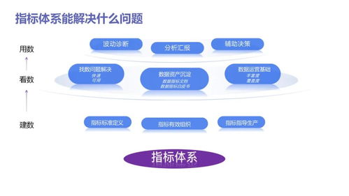 數(shù)據(jù)分析實(shí)戰(zhàn)寶典 從入門到精通，驅(qū)動(dòng)業(yè)務(wù)增長(zhǎng)